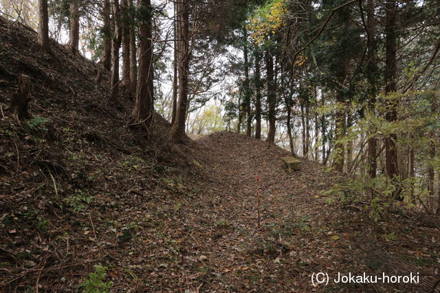 紀伊 飯盛山城の写真