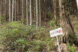 紀伊 飯盛山城の写真