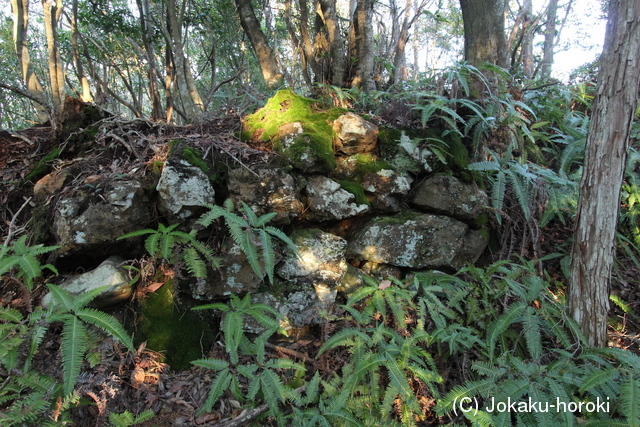 紀伊 石倉山城の写真