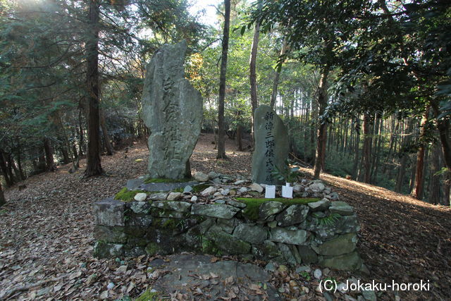 紀伊 岩倉城の写真