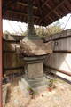 紀伊 地蔵峰寺城の写真