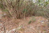 紀伊 地蔵峰寺城の写真