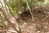 紀伊 地蔵峰寺城の写真