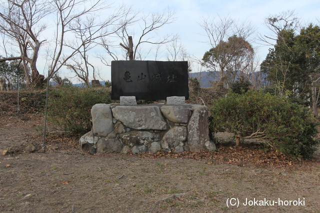 紀伊 亀山城の写真