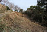 紀伊 亀山城の写真