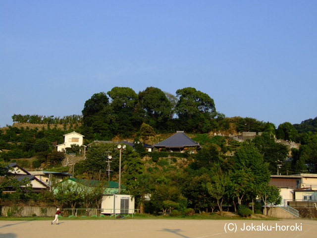 紀伊 加茂城の写真