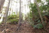 紀伊 神田城(すさみ町)の写真