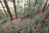 紀伊 神田城(すさみ町)の写真