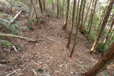 紀伊 神田城(すさみ町)の写真