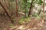 紀伊 神田城(すさみ町)の写真