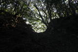 紀伊 神田城(すさみ町)の写真