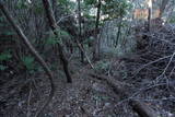 紀伊 神田城(すさみ町)の写真