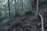 紀伊 神田城(すさみ町)の写真
