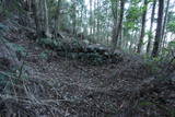 紀伊 神田城(すさみ町)の写真