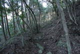 紀伊 神田城(すさみ町)の写真