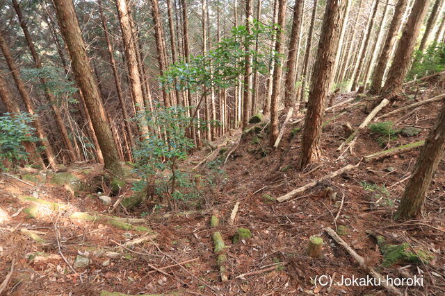 紀伊 辛怒田城の写真