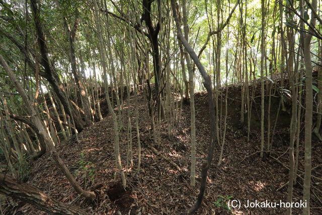 紀伊 要害山城(堅田城)の写真