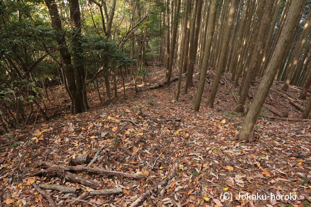 紀伊 皮張東城の写真