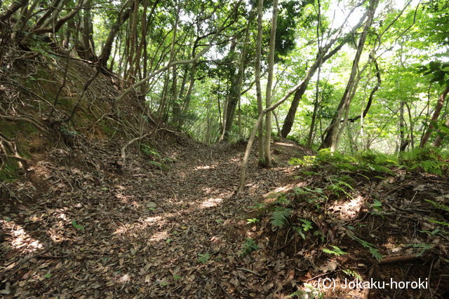 紀伊 鏡子山城の写真