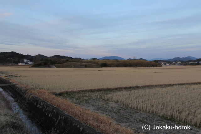 紀伊 満留山城の写真