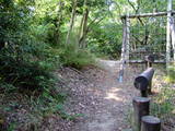 紀伊 弥勒寺山城の写真