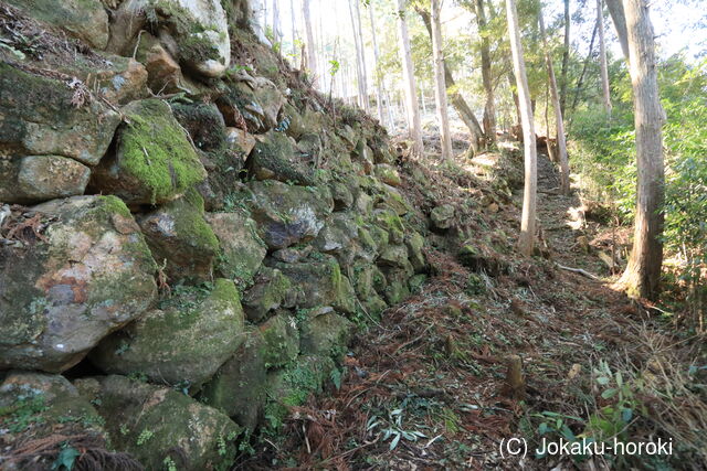 紀伊 京城の写真