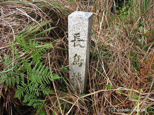 紀伊 長島城の写真