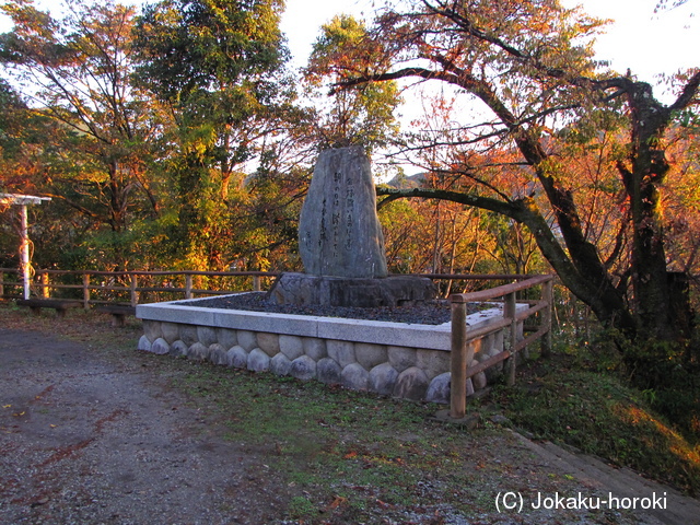 紀伊 中村山城の写真