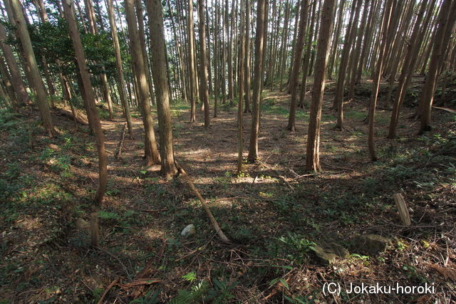 紀伊 安宅中山城の写真