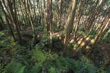 紀伊 安宅中山城の写真