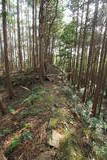 紀伊 安宅中山城の写真