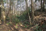 紀伊 安宅中山城の写真