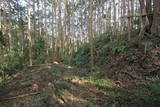 紀伊 安宅中山城の写真