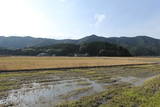 紀伊 安宅中山城の写真