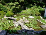 紀伊 根来寺の写真