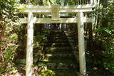 紀伊 野上八幡山本陣の写真