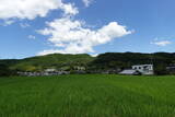 紀伊 野上八幡山本陣の写真