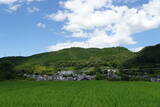 紀伊 野上八幡山本陣の写真