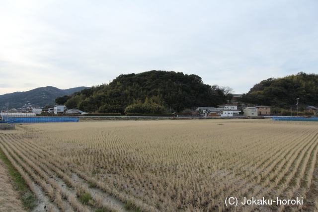 紀伊 入山城(本丸)の写真