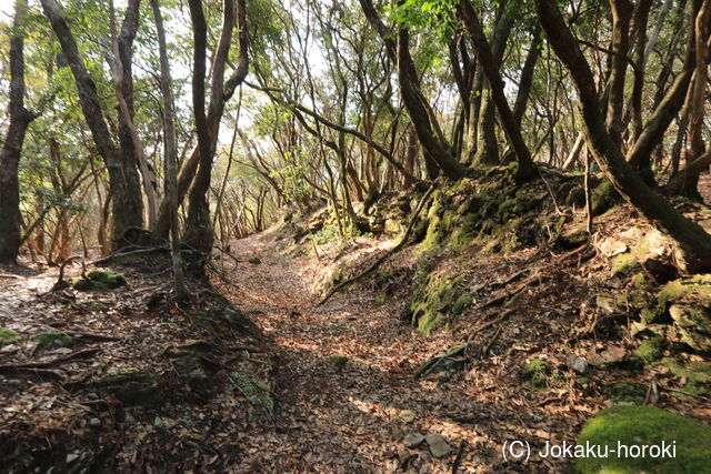 紀伊 大栗須城の写真