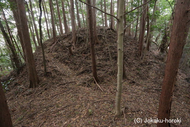 紀伊 安宅大野城の写真