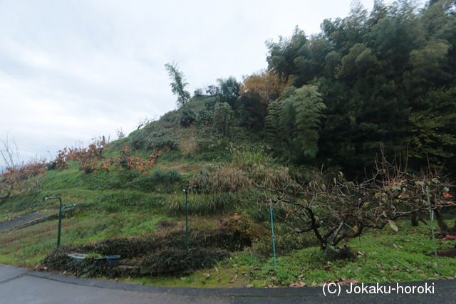 紀伊 岡城の写真