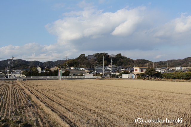 紀伊 岡崎土橋城の写真