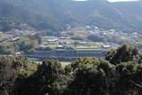 紀伊 坂本付城の写真