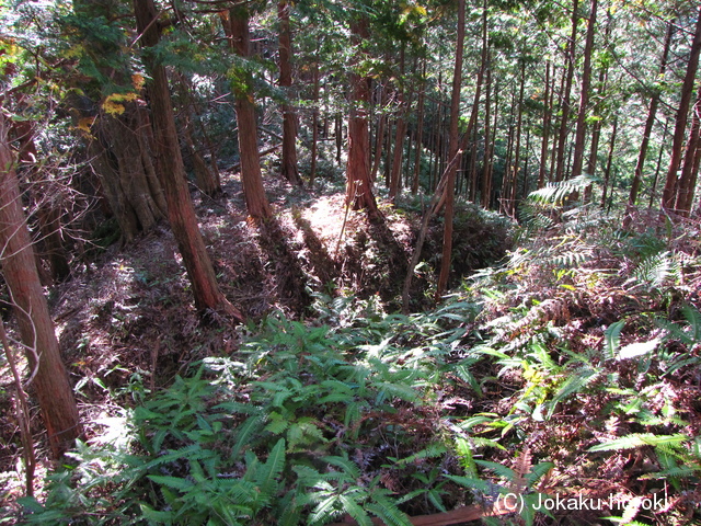 紀伊 セキ山城の写真