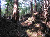 紀伊 セキ山城の写真