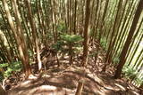 紀伊 清水城の写真