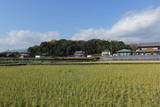 紀伊 霜山城の写真