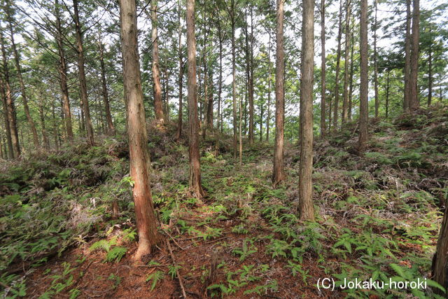 紀伊 高田古城山城の写真