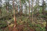 紀伊 高田古城山城の写真